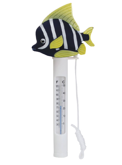 thermometres-flottants-pour-spa-et-bain-a-remous