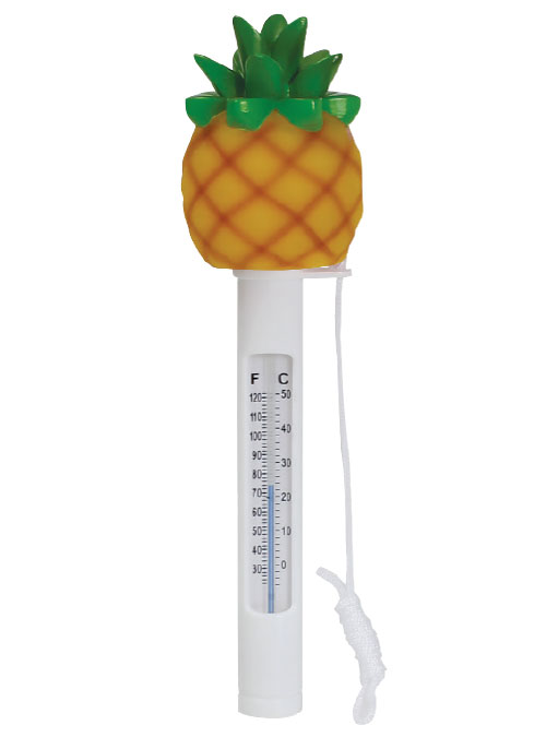 thermometres-flottants-pour-spa-et-bain-a-remous